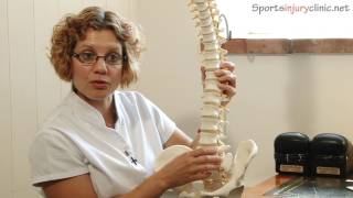 Sacroiliac Joint Pain Si Joint  A Chiropractors View [upl. by Enaffit]