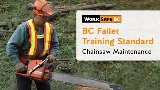 BC Faller Training Standard  Chainsaw Maintenance 3 of 17 [upl. by Einhpad]