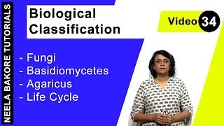 Biological Classification  NEET  Fungi  Basidiomycetes  Agaricus  Life Cycle  Neela Bakore [upl. by Cassell]