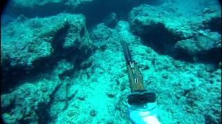 GoPro Saipan Spearfishing Adventures  Luta Rota CNMI [upl. by Lindsy]