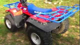 FIXING SUZUKI QUADRUNNER 250 1993 [upl. by Aitan347]