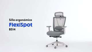 FlexiSpot  Descubre el Confort Profesional  Silla Ergonómica BS14 [upl. by Holms]