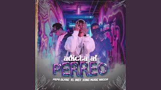 Adicta al Perreo [upl. by Adnotal]