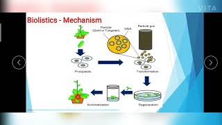 Physical amp Chemical Methods of Gene Transfer [upl. by Anhpad596]