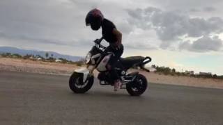 Honda Grom Performance Exhaust System by Bassani Xhaust Starring Smashstunts [upl. by Nylram]