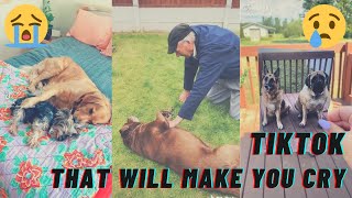 Tiktoks that will make you cry  Pet loss and grief [upl. by Melody]