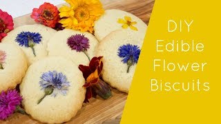 DIY Edible Flower BiscuitsCookies [upl. by Ettevad]