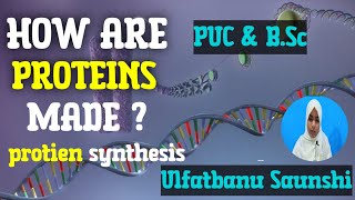 DNA TO PROTEIN  PROTEIN SYNTHESIS  TRANSCRIPTION AND TRANSLATION 💥💥 [upl. by Ientirb]