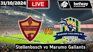 Stellenbosch Vs Marumo Gallants Live Match Today Betway Premiership [upl. by Ernestus]