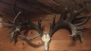 THE PERFECT SCORE ep3 antlers deerhunting canada usa [upl. by Corb]