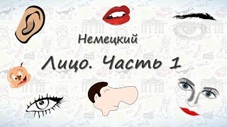 Части лица на немецком часть 1 Учим немецкие слова quotЧасти лицаquot [upl. by Bach574]