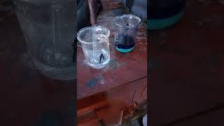 Preparation for tetraaaamine copper sulphate monohydrate [upl. by Alleuqcaj]