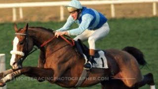 The Tingle Creek ChaseEvery Winner 19792023Lovely Footage of The Great Horse tooRacing Legends [upl. by Glynis]