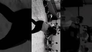 Como fazer capoeira na escola memes humor [upl. by Eduam22]