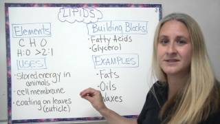 Organic compounds  4 main types described [upl. by Amsirahc]