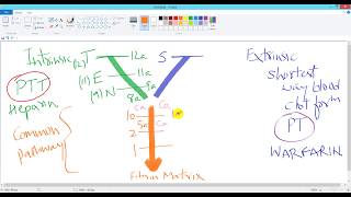 Coagulation Process Easiest Y Diagram and Mnemonic for Intrinsic Extrinsic and Common pathways [upl. by Pang]