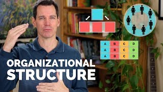 Organizational Structure [upl. by Awhsoj]