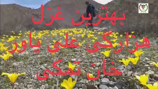 Ghazal Hazaragi بهترین غزل هزارگی علی یاور خان تمکی [upl. by Maudie509]