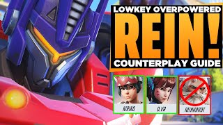 Reinhardt is Lowkey Overpowered  Counterplay Guide [upl. by Akers]