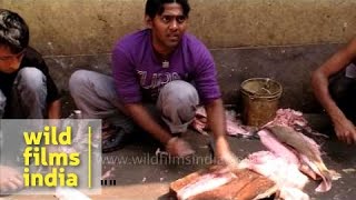 Unique skill of cutting fish fillets Indiastyle [upl. by Madian]