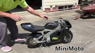 Miniature MOTORCYCLE Polini minimoto top speed [upl. by Ayouqes]