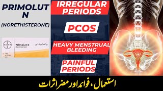 Primolut N tablet  Primolut N tablet uses in Urdu  Norethisterone medicine uses [upl. by Koslo]