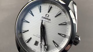 Omega Seamaster Aqua Terra 38mm 22012382002001 Omega Watch Review [upl. by Apple]