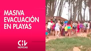 TRAS ALERTA DE TSUNAMI  Así fue la masiva evacuación en las playas chilenas [upl. by Annorah]