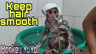 Monkey YoYo Jr bathes with herbs to stay healthyMonkey Baby YoYo [upl. by Giacomo]