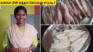 கனவா மீன் சுத்தம் செய்வது எப்படி  How to Clean Squid Fish  Kanava Meen Cleaning in Tamil [upl. by Nylsoj]