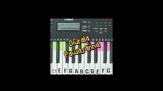 Diurala Pawasanna දිව්රාලා පවසන්න  Subscribe and Follow YCHORDS for more Keyboard Covers shorts [upl. by Chrisman]