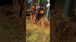 Tree digging activity with machinery [upl. by Alastair]