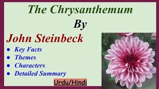 The Chrysanthemum by John Steinbeck Summary in HindiUrduThemesKey FactsCharactersSummary [upl. by Lew]