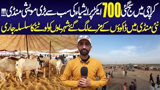 Northern Bypass Mandi Latest Update  Cow Rates  Cattle Farms  Mandi Update [upl. by Elder]