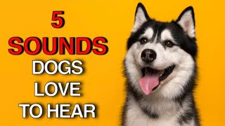 5 Sounds Your Dog Loves  Sounds that attract dogs and puppies [upl. by Yartnoed]