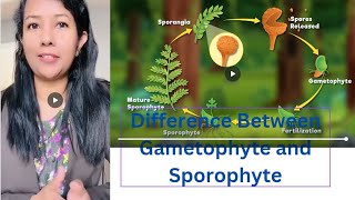 Difference Between Gametophyte and Sporophyte  EducatorSharmin [upl. by Ahsilrak98]