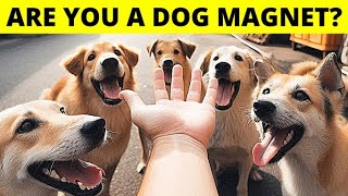 10 Secret Reasons Why You’re a True Dog Magnet [upl. by Almita]