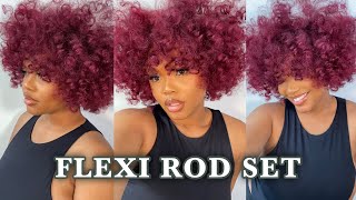 HOW TO Quick amp Easy FLEXI ROD SET on DRY HAIR  NATURAL HAIR 4a3c [upl. by Hartzke]