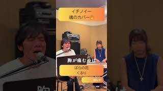 ばらの花  cover by イチノイー 歌ってみた イチノイー 日本武道館への道 くるり ばらの花 [upl. by Ritch]