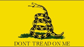 Exploring the Roots of Libertarianism in America [upl. by Ellerred]