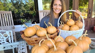 How to Grow Seminole Pumpkins The Best Pumpkin to Grow in the South [upl. by Eeslek]