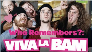 Revisiting Viva La Bam [upl. by Helge]