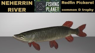 Fishing Planet Neherrin River Redfin Pickerel Common amp Trophy [upl. by Maryanne20]