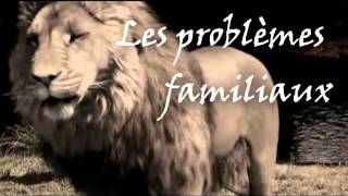 TRAILER OFFICIAL  LE LION [upl. by Enneirb]