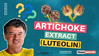 Artichoke Extract Luteolin [upl. by Soutor883]