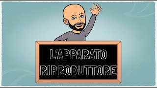 LApparato Riproduttore [upl. by Rauch]