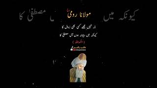 Moulana Rumi Quotes in Urdu romiquotes quotes viralpost ytshorts viralvideo explore 1million [upl. by Eimmaj121]