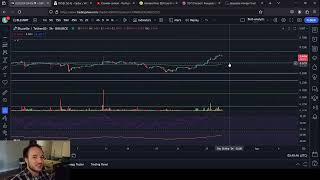 BLUZELLE vs STORJ [upl. by Anaiq30]