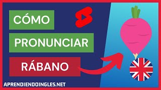 ✅ ¿Cómo Pronunciar RÁBANO EN INGLÉS ✨ CÓMO se dice RADISH en INGLES 🚀 PRONUNCIACIÓN CORRECTA [upl. by Atiuqal]