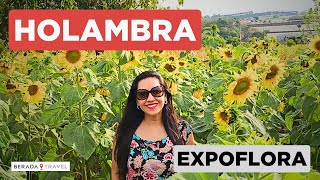 O que fazer em Holambra em 1 dia com Expoflora 2023 [upl. by Notserk]